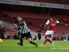 开云体育app-富勒姆主场战平纽卡斯尔，争夺保级越加激烈的简单介绍