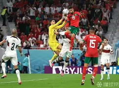 法国前场弹跳力超群,篮板数据遥遥领先的简单介绍 法国前场弹跳力超群,篮板数据遥遥领先的简单介绍